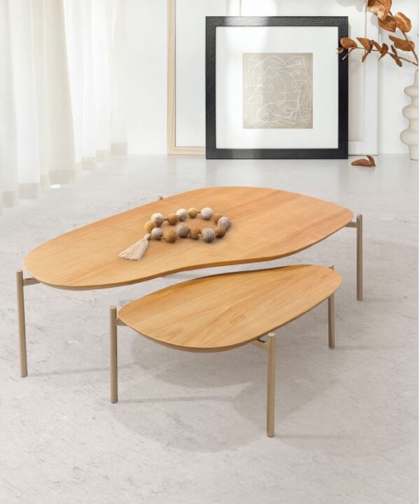 Conjunto Mesa de centro orgânica AM02 - Image 2