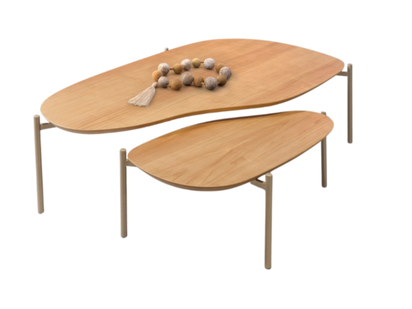 Conjunto Mesa de centro orgânica AM02